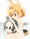  :3 animal_ears bathing black_eyes black_hair blonde_hair collarbone commentary_request forehead hair_between_eyes highres kaban_(kemono_friends) kemono_friends looking_at_another multiple_girls navel nude open_mouth partially_submerged sat-c serval_(kemono_friends) serval_ears serval_tail short_hair steam tail upper_body water yellow_eyes 