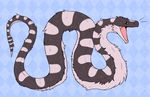  2016 abstract_background ambiguous_gender brown_eyes cute_fangs feral fluff_snake fluffy fur grey_fur henzolin multicolored_fur open_mouth reptile scalie snake solo spots striped_fur stripes two_tone_fur white_fur 