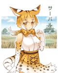  animal_ears bare_shoulders blonde_hair bow bowtie character_name claw_pose closed_mouth commentary cowboy_shot elbow_gloves expressionless extra_serval_(kemono_friends) eyebrows_visible_through_hair gloves grass high-waist_skirt kemono_friends looking_at_viewer outline print_gloves print_neckwear print_skirt qtsuki savannah serval_ears serval_print serval_tail shirt short_hair skirt sleeveless sleeveless_shirt solo striped_tail tail tree white_outline white_shirt yellow_eyes 
