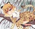  animal_ears blonde_hair blush bow bowtie commentary_request elbow_gloves fur_collar gloves highres jaguar_(kemono_friends) jaguar_ears jaguar_print jaguar_tail kemono_friends looking_at_viewer multicolored multicolored_clothes multicolored_hair multicolored_legwear nksk open_mouth shirt short_hair short_sleeves skirt solo tail thighhighs tree 