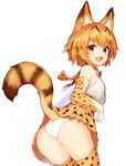  :d animal_ears ass blush bow bowtie brown_eyes brown_hair commentary cowboy_shot elbow_gloves eyebrows_visible_through_hair fang from_behind gloves high-waist_skirt kemono_friends leaning_forward looking_at_viewer looking_back nose_blush open_mouth panties serval_(kemono_friends) serval_ears serval_print serval_tail shirt short_hair simple_background skirt sleeveless sleeveless_shirt smile solo striped_tail tail tail_lift thighhighs tokiwa_online underwear white_background white_panties 