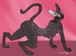  2015 4_fingers 4_toes all_fours amber_eyes anthro anus areola arm_tuft ass_up athletic big_areola black_claws black_fur black_nose black_pawpads breasts butt butt_focus cat claws cornish_rex digital_drawing_(artwork) digital_media_(artwork) digitigrade erect_nipples eyelashes feline female fur grey_fur grey_stripes hairless humanoid_pussy inviting long_tail looking_at_viewer looking_back mammal multi_breast multi_nipple multicolored_fur nipples nude pawpads paws pink_anus pink_background pink_nipples pink_pussy pose presenting presenting_hindquarters presenting_pussy pussy raised_tail semi-anthro signature simple_background smile solo spacekitten striped_tail stripes teats toe_claws toes two_tone_fur whiskers 