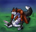  boxers_(clothing) canine clothing fight fox lagomorph male mammal rabbit rough_(disambiguation) underwear urban-coyote 