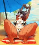  2017 4_toes anthro arms_above_head bikini breasts brown_fur brown_hair butt bypbap camel_toe canine chest_tuft clothing collaboration corgi countershading detailed_background dog eyes_closed eyewear fangs female fur hair hi_res long_tongue mammal miofofio navel nipple_bulge open_mouth outside palms rayna_(monstercatpbb) reclining sand seaside short_hair sitting solo spread_legs spreading stretching sunglasses swimsuit tan_fur toes tongue tongue_out tuft wet 