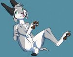  2017 anthro avro_lynx cuntboy cute feline green_eyes hi_res intersex mammal pawpads paws pussy simple_background sitting smaller_version_at_source snoggoishtar tongue tongue_out 