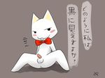  2015 anthro anus balls blush bow bow_tie cat digital_media_(artwork) doko_demo_issho doublepopsicle erection feline fur hi_res looking_at_viewer male mammal penis presenting simple_background solo sony text toro_inoue translated white_fur 