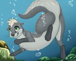  2017 absurd_res bubble candyfoxy digital_media_(artwork) featureless_crotch feral fur green_eyes grey_fur hi_res looking_up male mammal mustelid otter perineum raised_tail rock side_view smile solo twitch_otyolf underwater water 