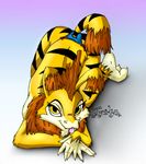  2008 ass_up breasts clothed clothing female fur looking_at_viewer lying neopets ogrin on_front raised_tail skimpy solo stripes teasing tigralyn tongue topless yellow_eyes yellow_fur zoe-chan 