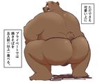  12beat13 anthro bear beat_you_(artist) big_butt blush butt clothing colored japanese_text looking_at_viewer male mammal presenting presenting_hindquarters rear_view simple_background solo text thong translation_request white_background 