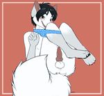  5_fingers animal_genitalia animal_penis anus arctic_fox backsack balls black_hair blush brown_eyes canine canine_penis clothing erection fox fur hair know malachyte mammal open_mouth panties penis simple_background smile underwear white_fur 