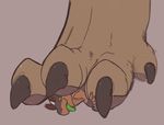  3_toes carcar claws colored_sketch dewclaw digital_media_(artwork) dragon evalion feral foot_fetish foot_focus hindpaw micro paws pinned scalie simple_background toe_claws toes tongue tongue_out twitter underfoot 