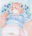  anthro bear belly clothing dessert food ice_cream jambavan kemono male mammal midriff navel obese outie_navel overweight shirt star_parlor tokyo_afterschool_summoners traditional_media_(artwork) 