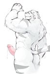  2017 abs anthro arms_above_head back_muscles biceps blue_eyes butt claws cum erection feline fur grey_fur grimoire_of_zero looking_at_viewer male mammal mercenary_(character) muscular muscular_male nude pecs penis pointing precum raised_arm ralefov scar simple_background smile solo standing stripes teeth tiger tuft vein veiny_penis white_background white_fur white_tiger 