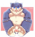  anthro balls blue_eyes blush canine censored flaccid foreskin fur humanoid_penis male mammal moobs navel neck_tuft nipples obese open_mouth overweight partially_retracted_foreskin penis purple_fur solo tongue tsurugi tuft uncut 