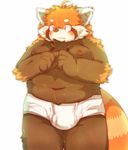  5_fingers anthro blush briefs brown_fur bulge clothing fur inner_ear_fluff male mammal moobs navel nipples obese orange_fur overweight red_eyes red_panda simple_background solo standing tsurugi underwear white_fur 