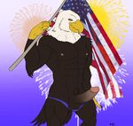  2017 4th_of_july abs anthro anthrofied areola avian bald_eagle balls beak biceps bird butt claws clothed clothing eagle erection feathers fireworks hi_res holidays looking_at_viewer male manly muscular navel nipples pecs penis pubes seyrmo sharp_claws smile solo speedo standing stars_and_stripes swimsuit thick_thighs united_states_of_america yellow_eyes 