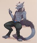  askareth furikake looking_at_viewer male penis sergal sitting 