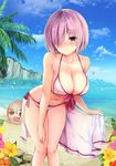  adapted_costume ball bare_arms bare_shoulders beach beachball bikini blue_sky blush breasts character_doll cleavage cloud cloudy_sky day fate/grand_order fate_(series) flower front-tie_top fujimaru_ritsuka_(female) hair_over_one_eye halter_top halterneck hand_on_own_thigh holding holding_towel knees_together_feet_apart large_breasts leaning_forward mafuyu mash_kyrielight navel nose_blush objectification ocean outdoors palm_tree purple_eyes purple_hair riyo_(lyomsnpmp)_(style) short_hair side-tie_bikini sky solo standing swimsuit swimsuit_of_perpetual_summer towel tree water_drop white_bikini 