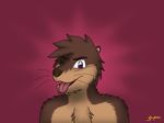  brown_fur brown_hair brown_nose chest_fuzz chest_tuft fur gupa507 hair looking_at_viewer mammal multicolored_fur mustelid one_eye_closed open_mouth otter purple_eyes tongue tongue_out tuft two_tone_fur 