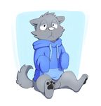  3_toes al-cat blush canine clothing feral fur grey_fur hoodie male mammal pawpads simple_background sitting solo sweater toes white_nose 