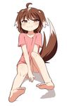  :3 ahoge animal_ears bare_legs barefoot between_legs brown_eyes brown_hair collarbone commentary cowfee dog_ears dog_girl dog_tail eyebrows_visible_through_hair feet floppy_ears hand_between_legs highres looking_at_viewer naked_shirt no_pants original pink_shirt shirt short_hair simple_background smug soles solo t-shirt tail toes white_background 