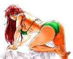  alternate_costume bangs bikini blue_eyes braid breasts closed_mouth commentary_request from_side green_bikini hong_meiling koyubi_(littlefinger1988) large_breasts long_hair looking_at_viewer looking_to_the_side red_hair scar smile solo swimsuit touhou twin_braids 