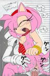  amy_rose furry_bomb sonic_the_hedgehog tagme 