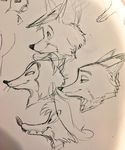  br&#039;er_fox disney foulfellow male monochrome nick_wilde pinocchio robin_hood robin_hood_(disney) sketch song_of_the_south zootopia 