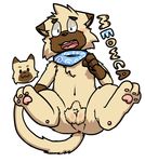  al-cat anus balls blush brown_fur cat feline fur humanoid_penis male mammal meowca_(al-cat) neckerchief open_mouth pawpads penis simple_background solo white_fur 