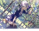  2017 absurdres between_legs black_legwear black_ribbon braid day dress dutch_angle food hair_between_eyes hair_over_shoulder hair_ribbon hand_between_legs highres holding holding_food kantoku looking_at_viewer open_mouth original outdoors purple_dress ribbon short_dress silver_eyes silver_hair sitting solo stepladder thighhighs tree twin_braids twintails 