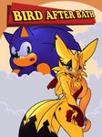  avian big_breasts bird breasts canary cover dreamcastzx1 female hedgehog male mammal rear_view sonic_(series) sonic_the_hedgehog viro 