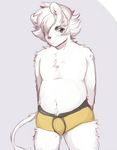  briefs bulge clothing fawnsdraws feline fur hair lion male mammal navel simple_background slightly_chubby solo standing underwear white_fur white_hair 