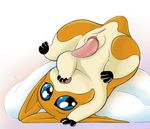  animal_genitalia anus cocampplus digimon erection feral fur head_wings hi_res lying male mammal membranous_wings on_back open_mouth patamon penis pillow presenting simple_background solo_focus teeth tongue white_background wings 
