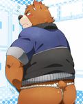  bear butt clothed clothing fundoshi japanese_clothing juuichi_mikazuki male mammal morenatsu nikiciy overweight overweight_male solo underwear 