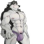  2016 abs absurd_res anthro biceps big_muscles biped black_claws black_fur black_nose black_tail blowup_background blue_eyes blush briefs bulge canine claws clothed clothing digital_media_(artwork) dog eyebrows front_view fur hi_res husky looking_at_viewer male mammal manly mnty multicolored_fur multicolored_tail muscular muscular_male nipples pecs pink_nipples portrait purple_bottomwear purple_clothing purple_underwear shy simple_background smile snout solo standing three-quarter_portrait topless two_tone_fur two_tone_tail underwear vein veiny_muscles white_fur white_tail 