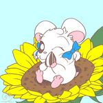  3_toes bijou bow female feral flower fur hair_bow hair_ribbon hamster hamtaro_(series) looking_at_viewer lunasfolly mammal one_eye_closed plant ribbons rodent sunflower sunflower_seed toes unfinished whiskers white_fur wink 