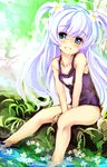  baikamo_(flower_knight_girl) bare_legs blue_eyes flower flower_knight_girl hair_flower hair_ornament keikotsu leaf long_hair looking_at_viewer nature purple_school_swimsuit school_swimsuit silver_hair sitting smile solo swimsuit two_side_up v_arms 