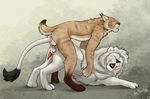  anal anchee anthro anus balls cum erection feline feral lion lynx male male/male mammal penis sex white_lion 