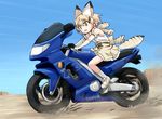  animal_ears bangs bare_shoulders blonde_hair bow bowtie cat_ears cat_tail commentary day desert elbow_gloves gloves ground_vehicle kakizaki_(chou_neji) kemono_friends light_smile miniskirt motion_lines motor_vehicle motorcycle on_motorcycle open_mouth outdoors riding sand_cat_(kemono_friends) shirt shoes short_hair sitting skirt sleeveless socks solo striped_tail tail white_footwear white_legwear white_shirt yamaha yamaha_yzf600r yellow_eyes yellow_skirt 