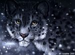  2017 ambiguous_gender feline feral flashw fur grey_fur greyscale leopard mammal monochrome snow snow_leopard snowing solo spots spotted_fur whiskers white_fur 