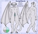  blueroses butt claws clitoris draconic dragon herm intersex kobold male mherm model_sheet muscular penis presenting pussy raelgil_sjachi scale sheet_(disambiguation) short slit small_(disambiguation) version warrior wings 