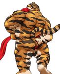  anthro butt clothing dendoro feline fundoshi japanese_clothing male mammal muscular nude rear_view simple_background tiger underwear white_background 