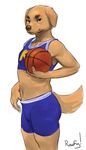  air_bud anthro anthrofied basketball buddy_(air_bud) canine dog golden_retriever jersey looking_at_viewer male mammal rowf simple_background white_background 