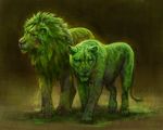  black_nose duo feline feral fur grass green_fur green_hair grey_eyes hair lion mammal standing tamberella 
