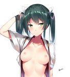  bad_id bad_twitter_id blush breasts closed_mouth collarbone expressionless green_eyes grey_hair hair_lift hair_tie hand_in_hair highres inactive_account japanese_clothes kantai_collection long_hair looking_at_viewer medium_breasts nipples open_clothes orihi_chihiro remodel_(kantai_collection) shiny shiny_hair simple_background solo twintails twitter_username upper_body white_background wide_sleeves zuikaku_(kantai_collection) 