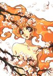  branch breasts cherry_blossoms collarbone convenient_censoring floating_hair highres ishida_atsuko lipstick makeup medium_breasts nude orange_eyes orange_hair original petals red_eyes simple_background solo white_background 