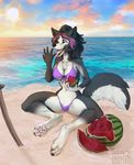  4_toes 5_fingers amazing_background anthro araivis-edelveys barefoot bikini black_fur black_hair black_nose breasts canine clothing day detailed_background digitigrade female food fruit fur hair mammal melon navel open_mouth outside pink_eyes sand sitting smile solo sun swimsuit teeth toes tongue water watermelon white_fur wide_hips wolf 