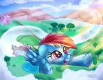  2017 cloud equine feathered_wings feathers female feral flying friendship_is_magic hair landscape mammal multicolored_hair multicolored_tail my_little_pony outside pegasus purple_eyes rainbow_dash_(mlp) rainbow_hair rainbow_tail sky smile solo thediscorded tree wings young 
