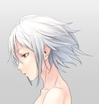  closed_mouth commentary expressionless from_side grey_background looking_away nude original portrait profile red_eyes short_hair silver_hair solo sugi_214 