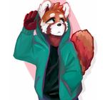  clothed clothing fawnsdraws fully_clothed hoodie male mammal red_panda solo 